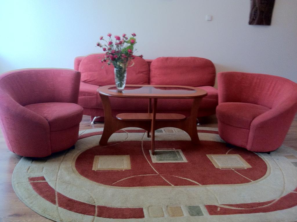 Zakopane - Apartament Z Widokiem Εξωτερικό φωτογραφία