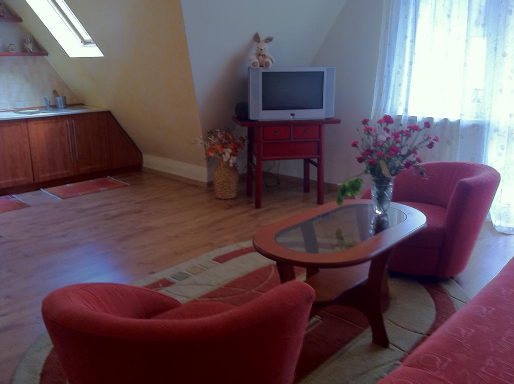 Zakopane - Apartament Z Widokiem Εξωτερικό φωτογραφία